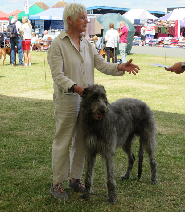 Yearling Dog 1st